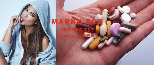 прущие грибы Белоозёрский