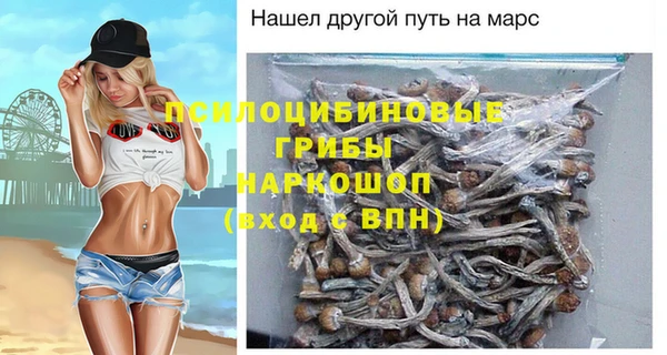 прущие грибы Белоозёрский