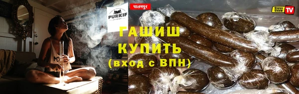 прущие грибы Белоозёрский