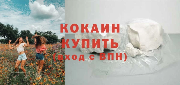 прущие грибы Белоозёрский